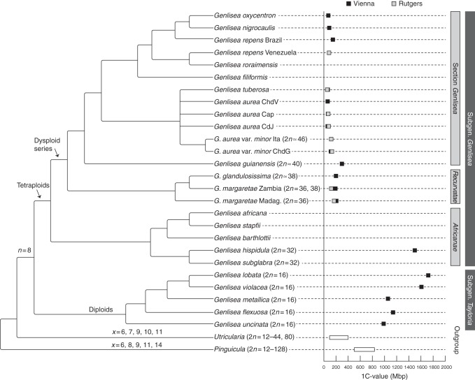 Fig. 4.