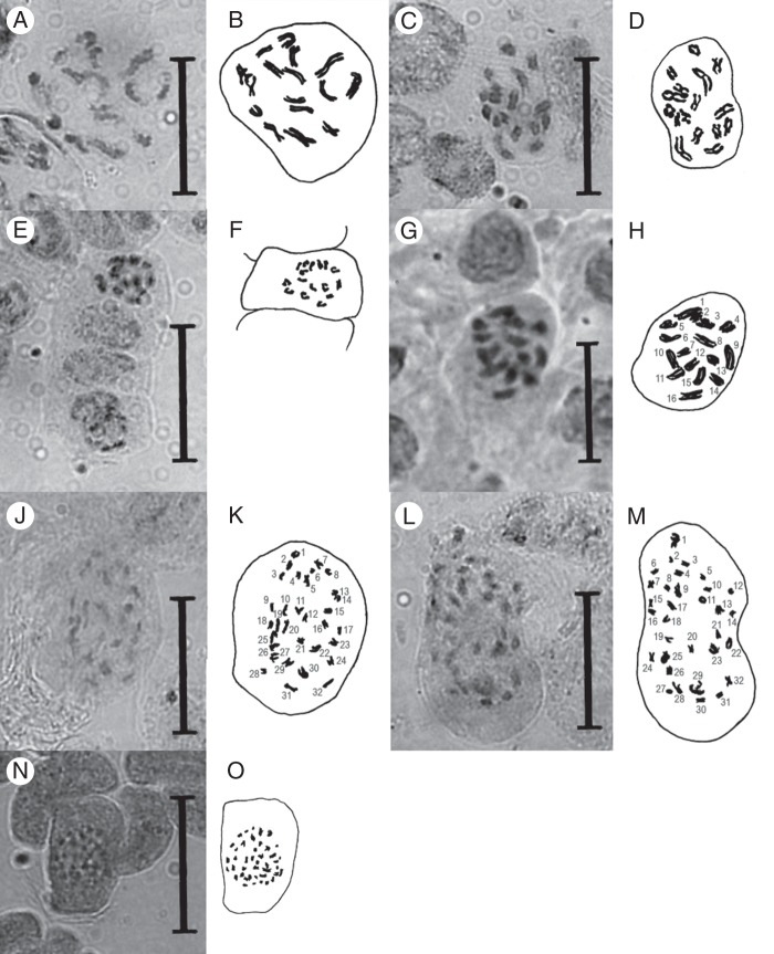 Fig. 2.