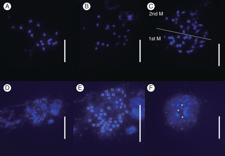 Fig. 3.