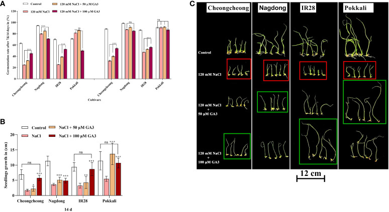 Figure 2