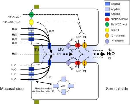 Figure 12