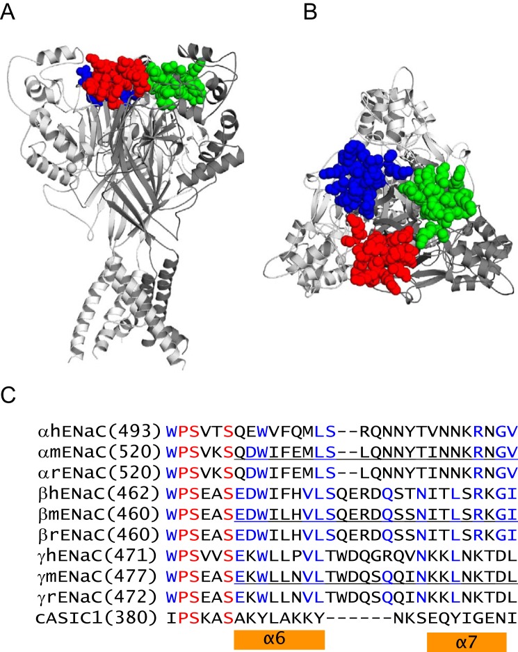 FIGURE 1.