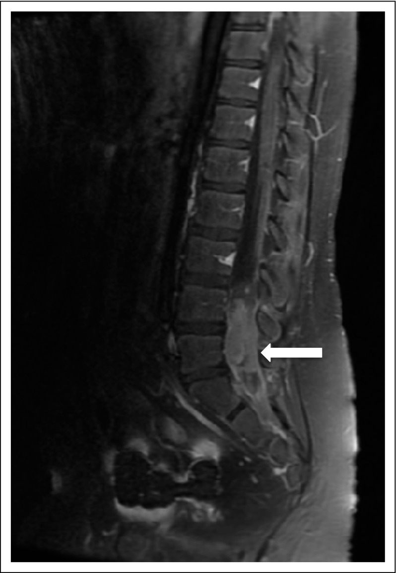 FIG 3.