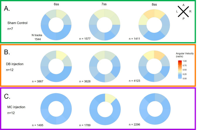 Figure 4—figure supplement 1.