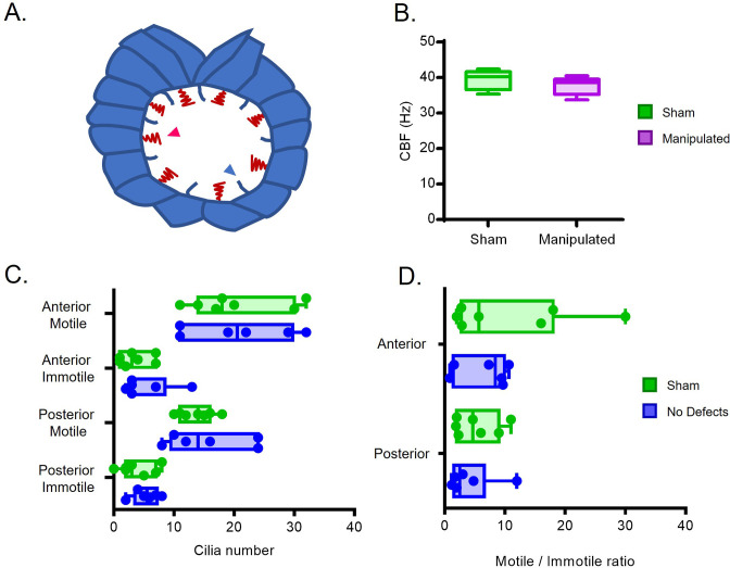 Figure 1—figure supplement 2.