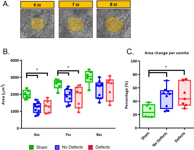 Figure 1—figure supplement 3.