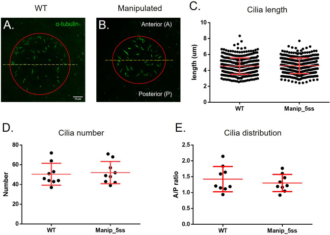 Figure 1—figure supplement 1.