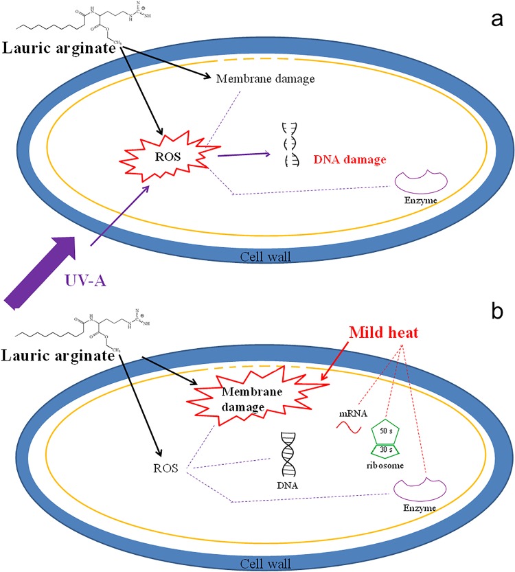 FIG 8