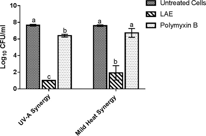 FIG 6