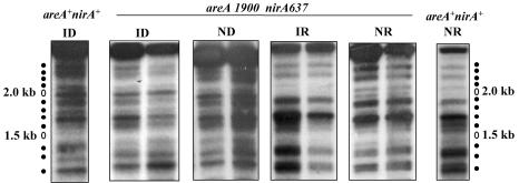 FIG. 8.