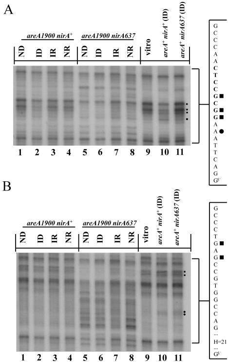 FIG. 9.