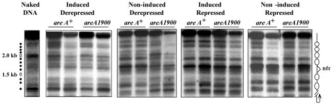 FIG. 7.