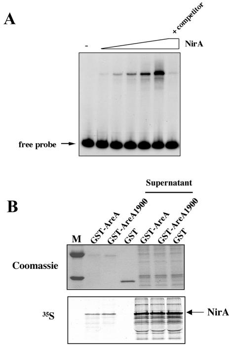 FIG. 6.