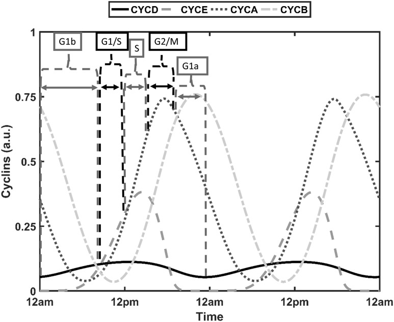 Figure 11.