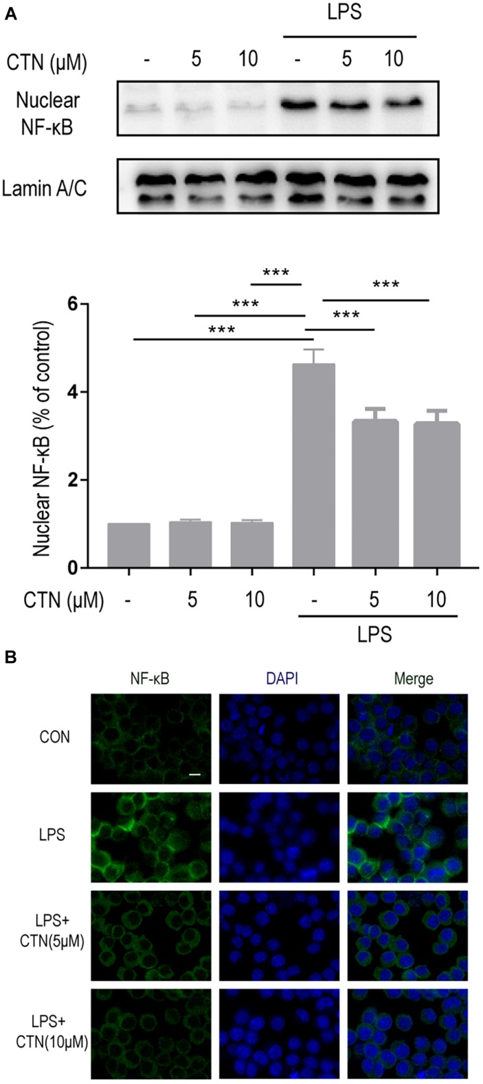 FIGURE 4