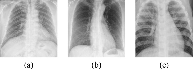 Fig. 3.