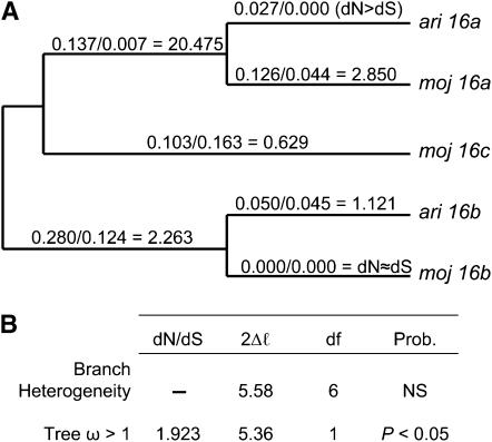 Figure 2.—