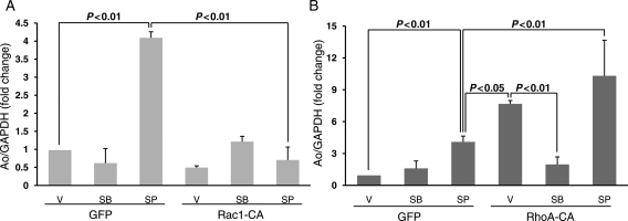 Figure 6