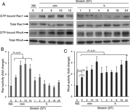 Figure 1