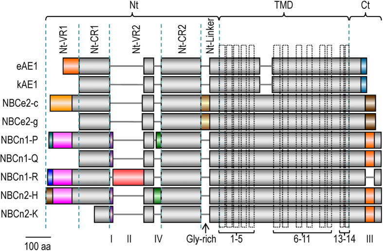 Figure 14