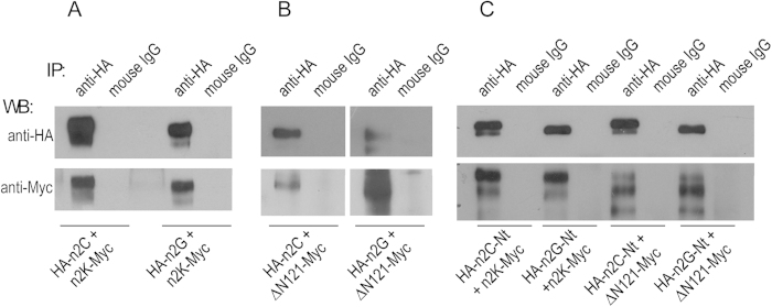 Figure 13