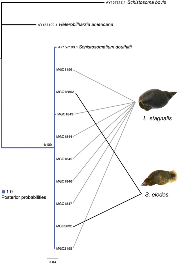 Fig. 9