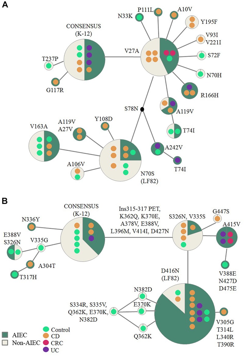 FIGURE 3