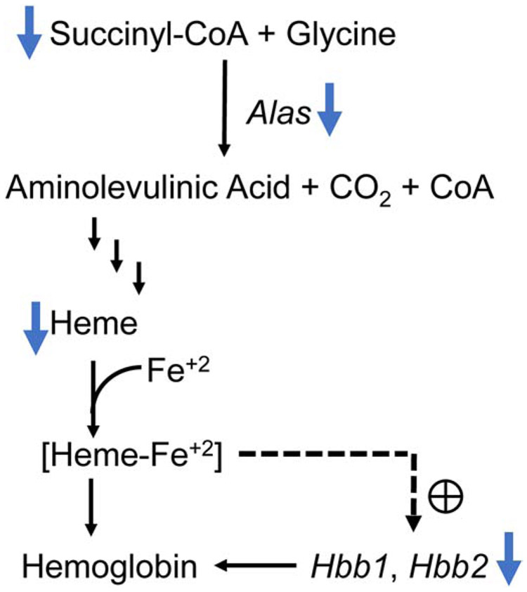 Fig. 11.