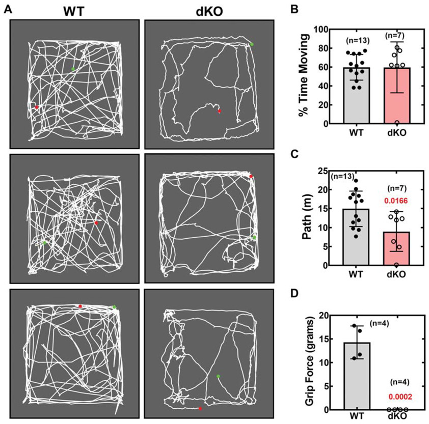 Fig. 7.