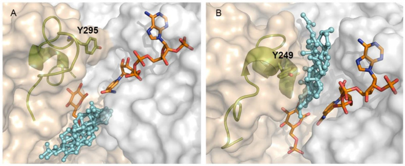 Figure 7