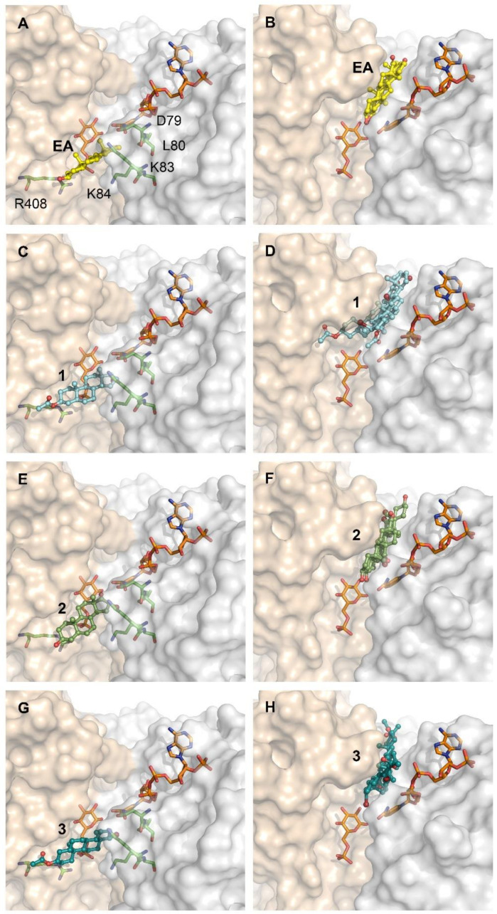 Figure 6