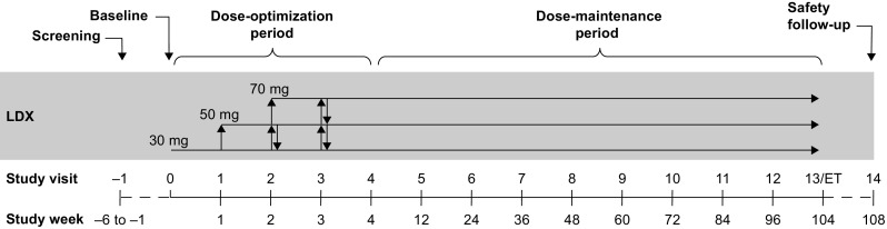 Fig. 1