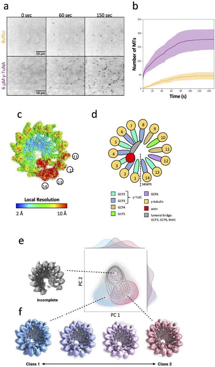 Figure 1: