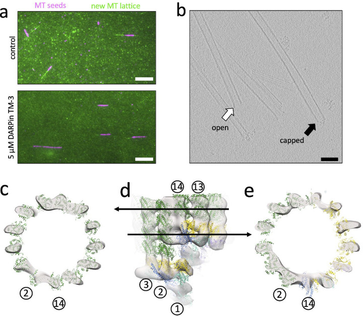 Figure 4: