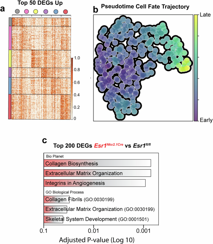 Extended Data Fig. 5