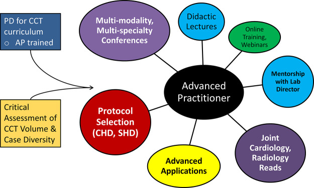 Comprehensive Advanced Practitioner Training Curriculum in CCT. AP training builds on IP skills, but pivots toward more complex applications of CCT and more complex cardiac disease. Integration of multidisciplinary resources into training by leveraging the advanced skills of both cardiology and radiology is needed. Direct trainee mentorship by the laboratory director or other AP supervisor is also imperative.