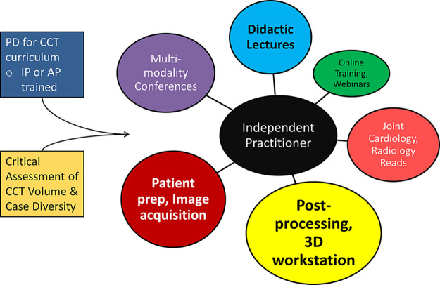 Comprehensive Independent Practitioner Training Curriculum in CCT The CCT PD must have attained IP status and critically evaluated individual institution case volume, case diversity, supervisor expertise, and trainee needs prior to curriculum planning. Key components of IP training are highlighted in various shading: postprocessing, 3D workstation image manipulation, patient preparation, image acquisition, and didactics. Online training and webinars may be needed to supplement local resources, particularly in low volume institutions.