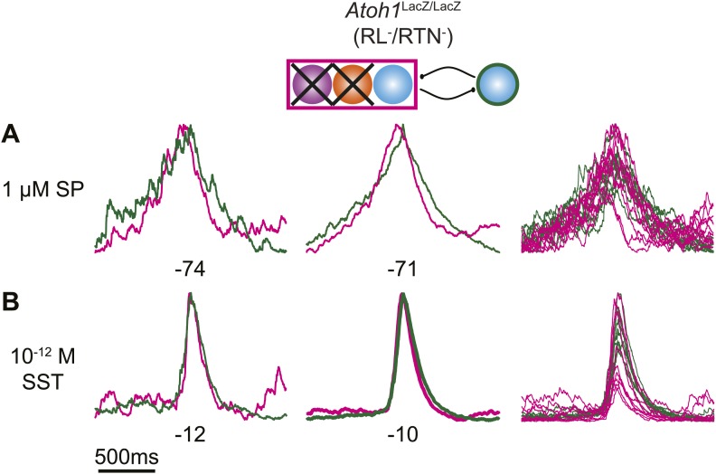 Figure 6—figure supplement 1.