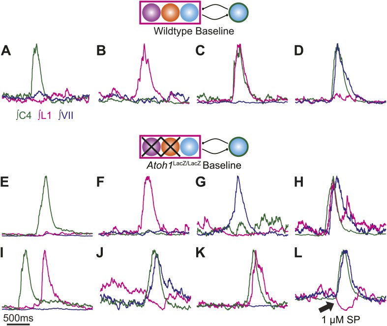 Figure 4—figure supplement 1.