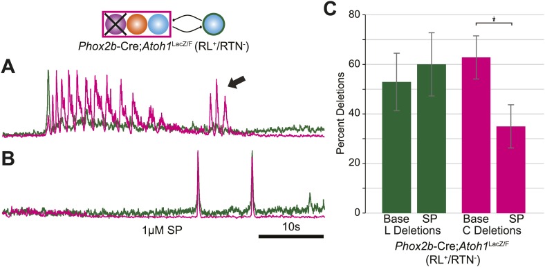 Figure 4—figure supplement 2.