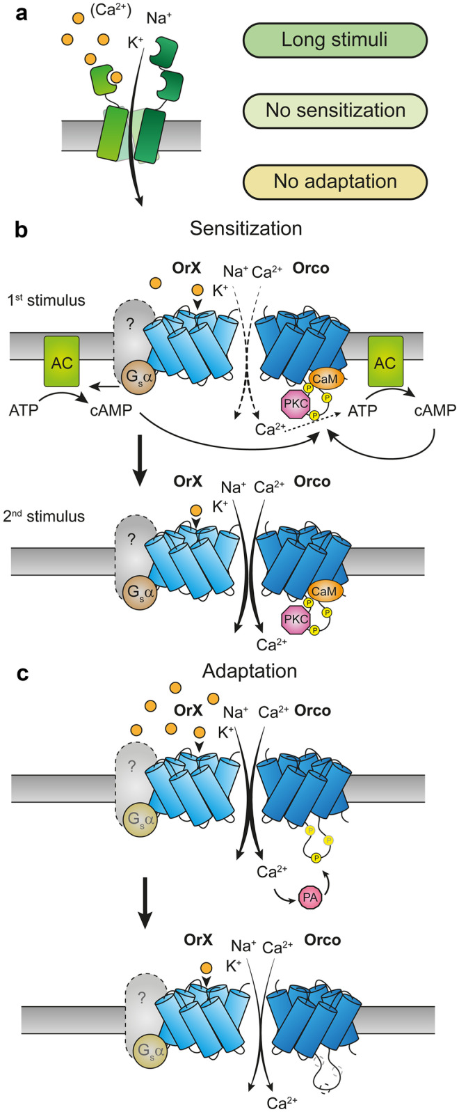 Fig. 4