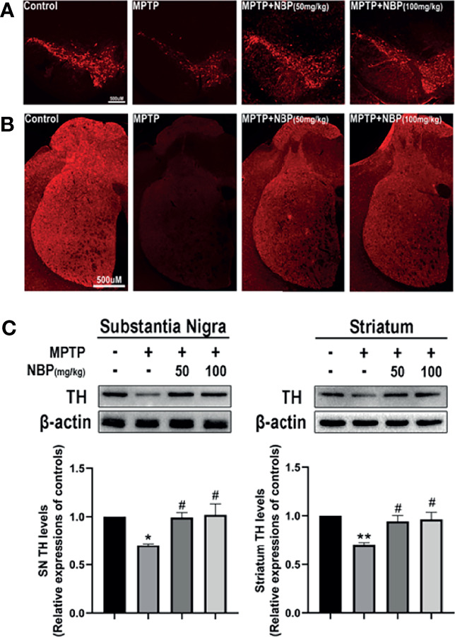 Figure 2