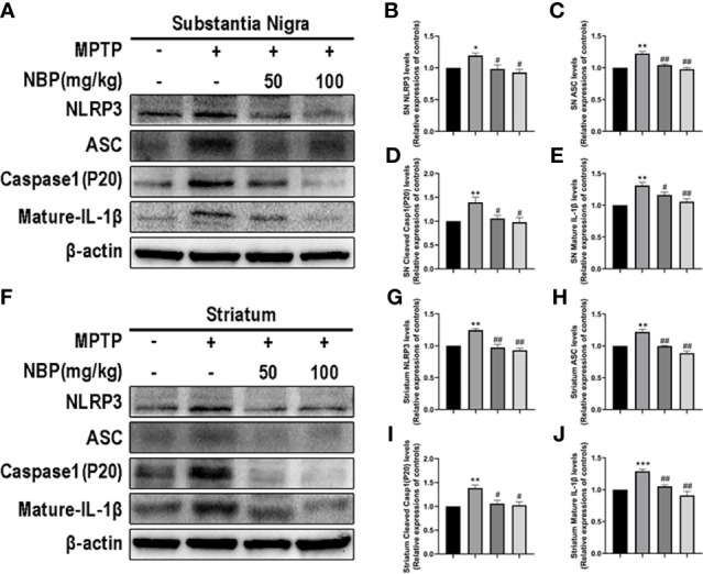 Figure 4