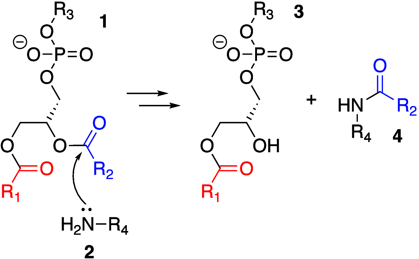 Scheme 3