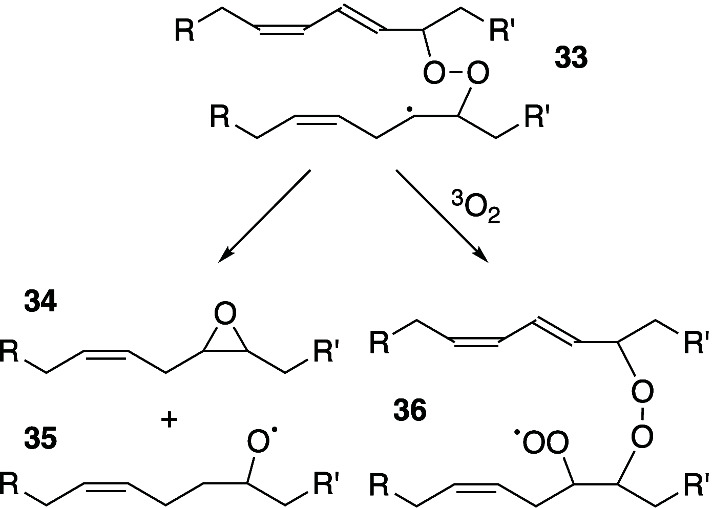 Scheme 5