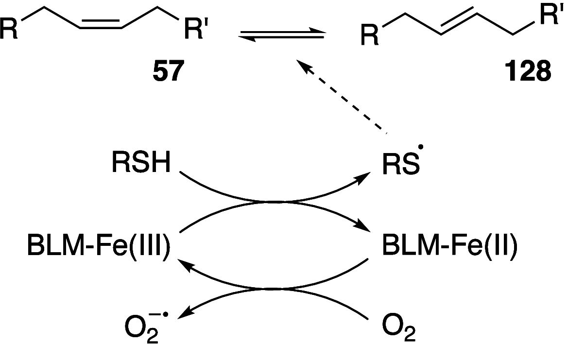 Scheme 19