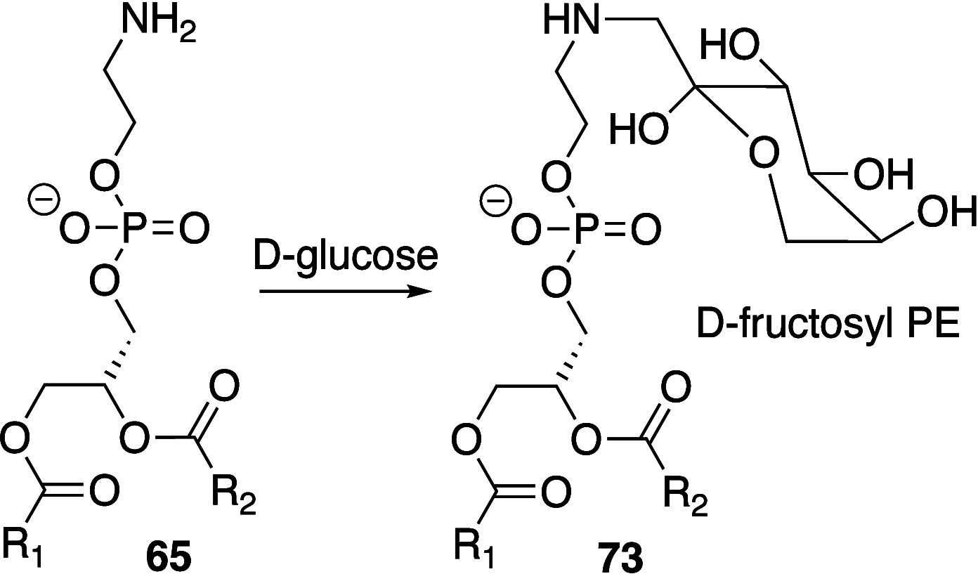 Scheme 9