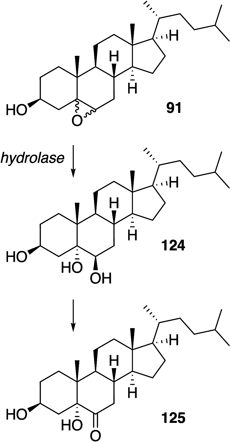 Scheme 16