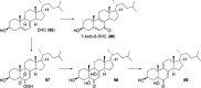 Scheme 12