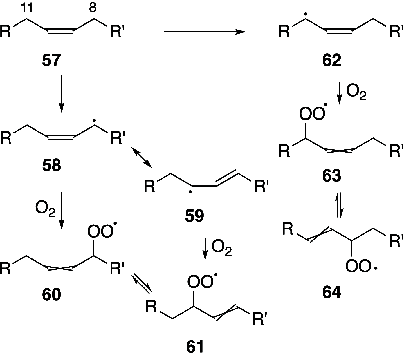 Scheme 7